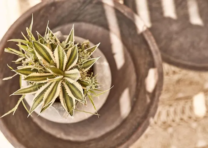 Naxian On The (adults Only) Szálloda Maragkas