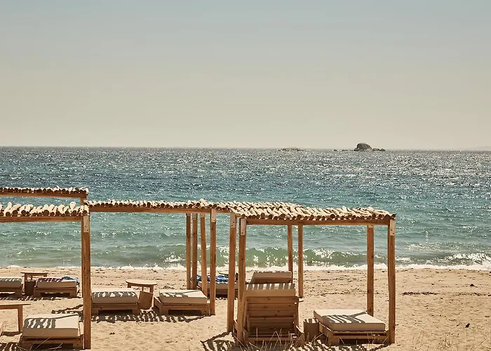 Naxian On The (adults Only)