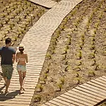 Naxian On The (adults Only) Ξενοδοχείο Maragkas