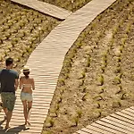 Naxian On The (adults Only) 3*